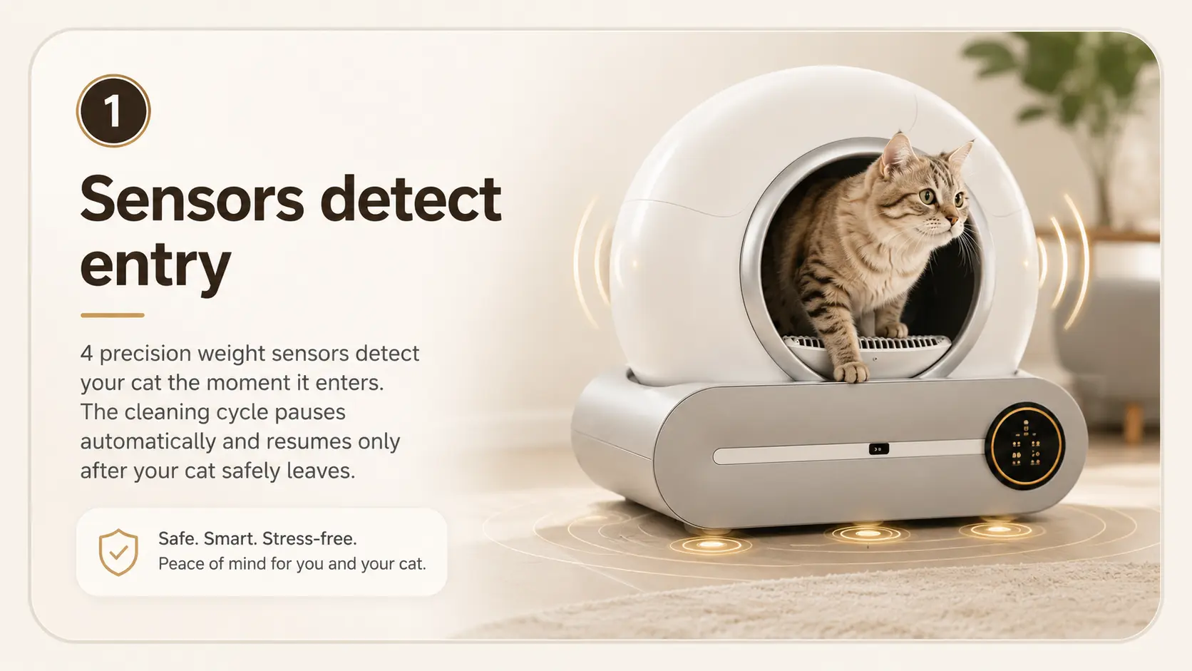 Sensors detect entry
