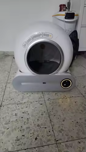 Cat entering Beam Litter Box