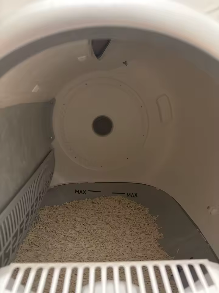 Cat litter box clean setup